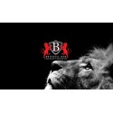 VIP PARTNERS