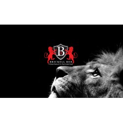 VIP PARTNERS